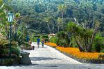 giardini-poseidon-terme-ischia-4