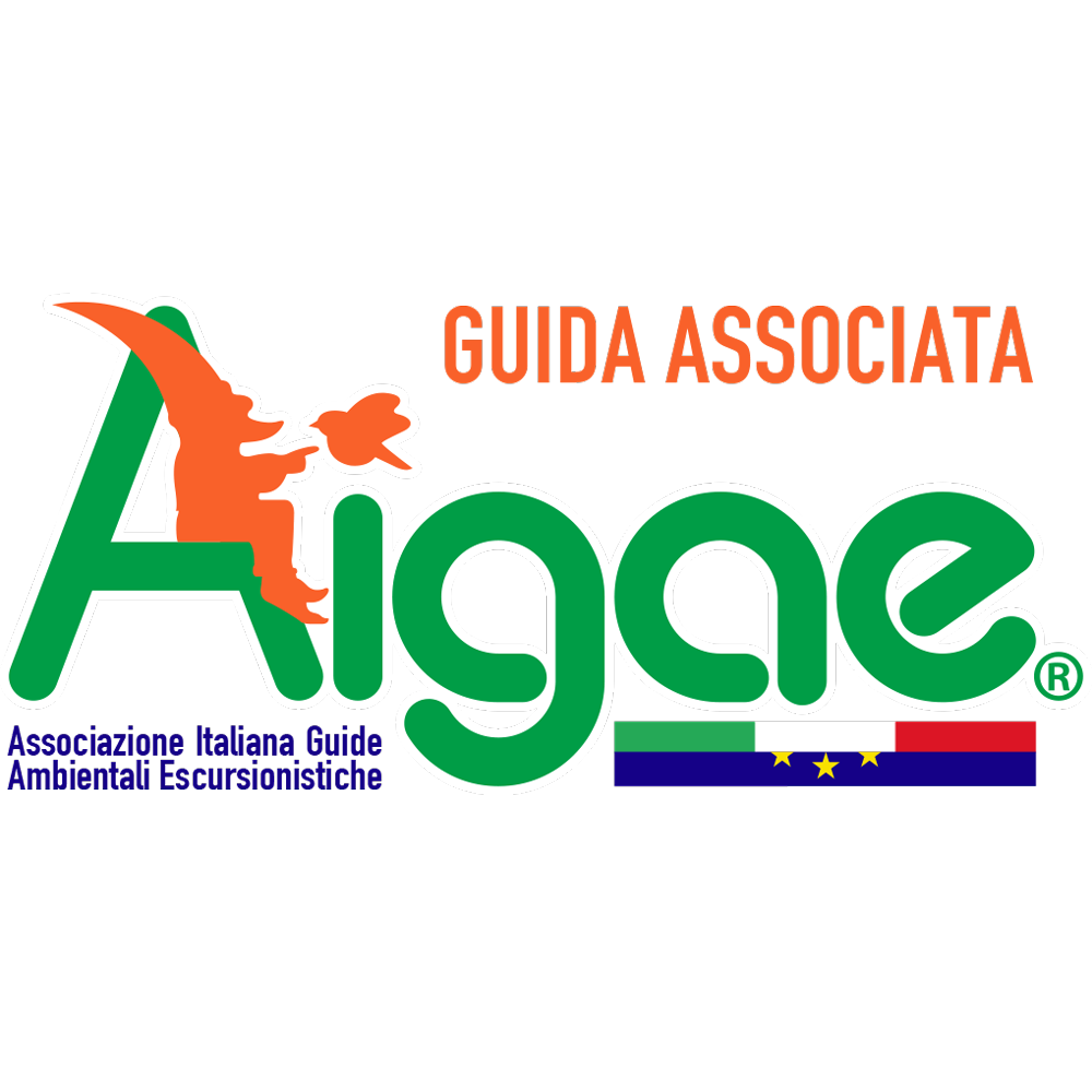 aigae logo