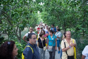 Andar per cantine 2015