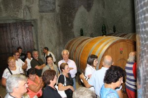 Andar per cantine 2009