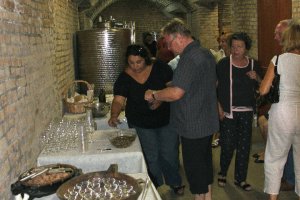 Andar per cantine 2010