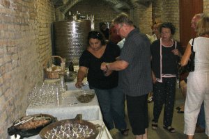 Andar per cantine 2010