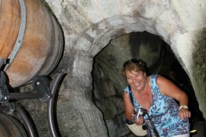 Andar per cantine 2010