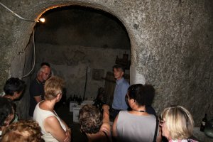 Andar per cantine 2011