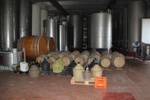 Andar per cantine 2011