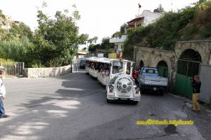 Andar per cantine 2014