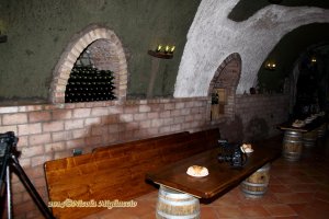 Andar per cantine 2014