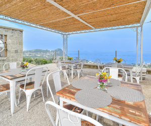Tenuta C'est la Vie