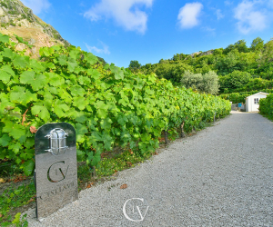 Tenuta C'est la Vie